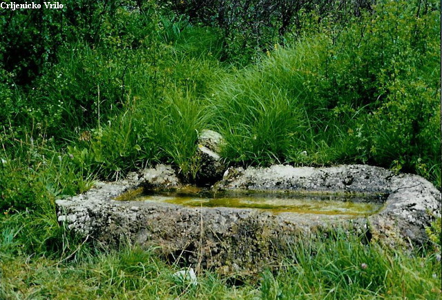 Crljenicko Vrilo
