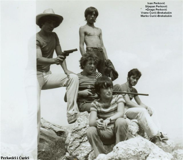 Perkovici i Curici