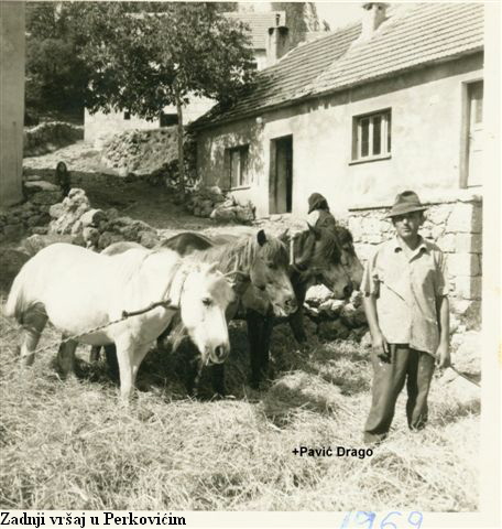 Zadnji vrsaj u Perkovicim