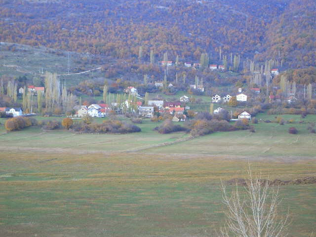 Prisoje