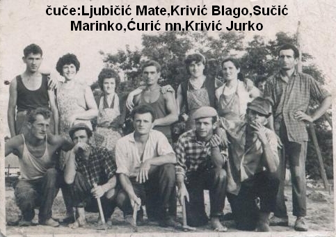 Ljubicici, Sucici, Krivici...